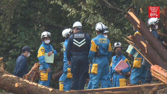 Search for missing continues after Typhoon Haishen