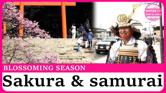 Sakura, samurai, and graduation smiles in Kyoto