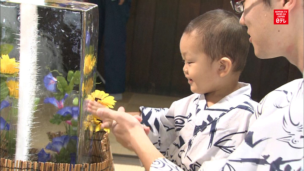 Icicles for Onsen hot spring