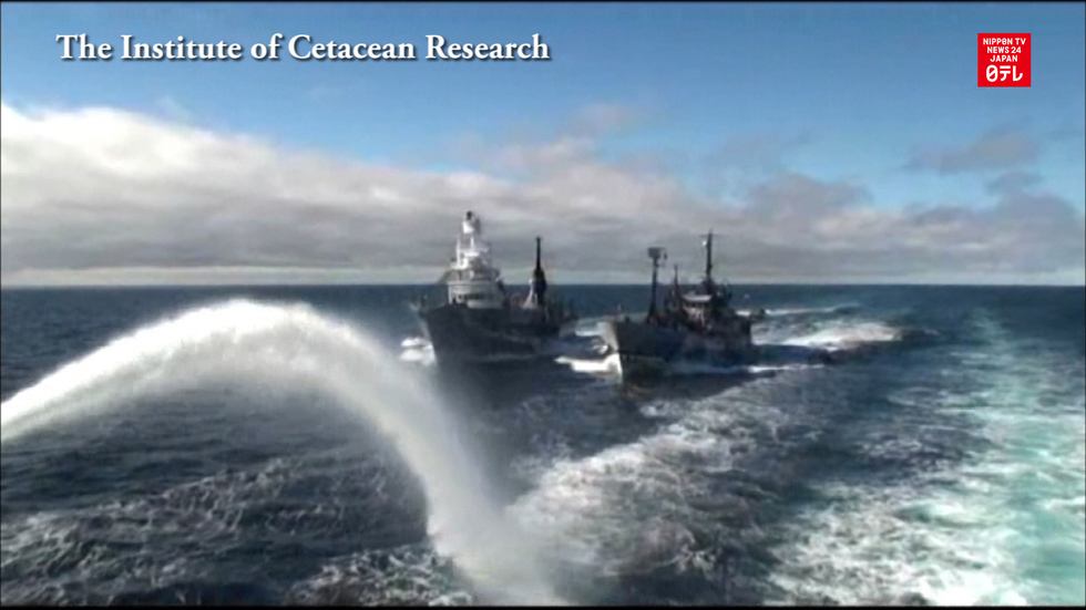 Sea Shepherd promises to no longer stymie Japanese whaling vessels
