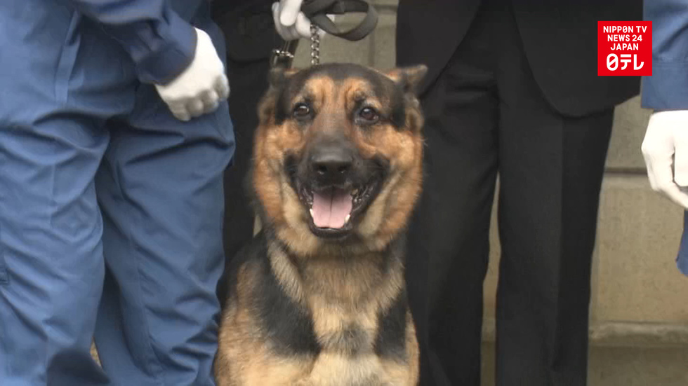 Memorial service honors fallen canine comrades