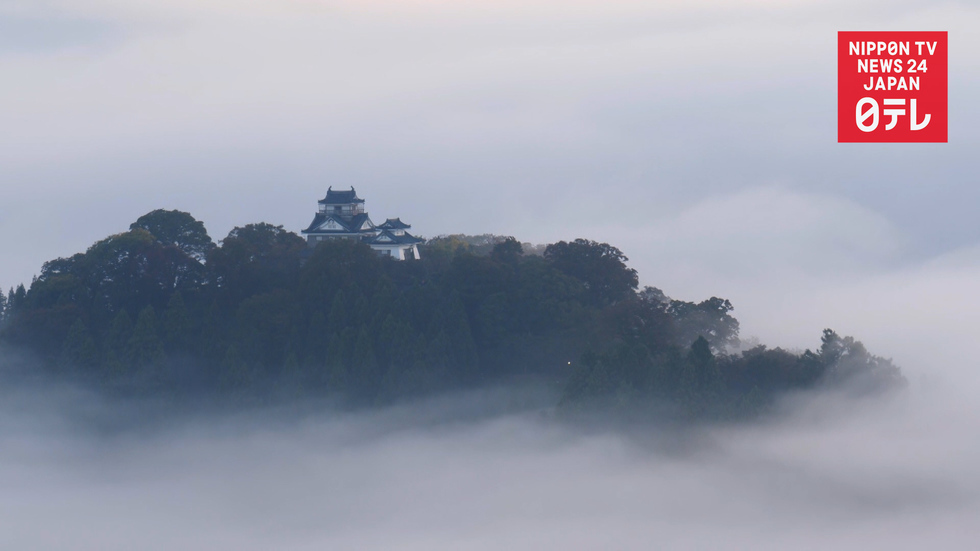 Castle in the sky captivates people