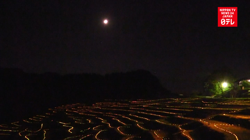 Shining terraced rice-fields
