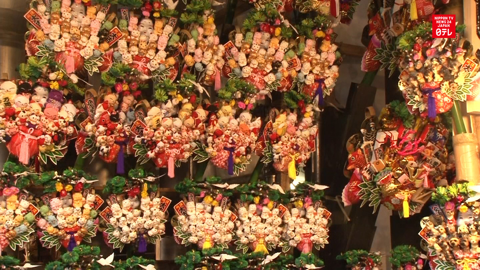Hundreds of thousands flock to Torinoichi fair