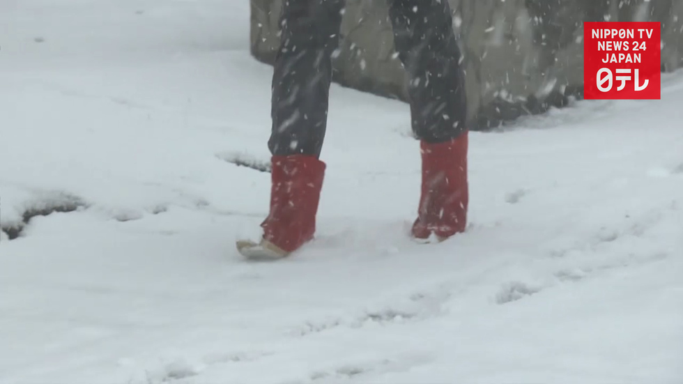 Snow falls in northern Japan