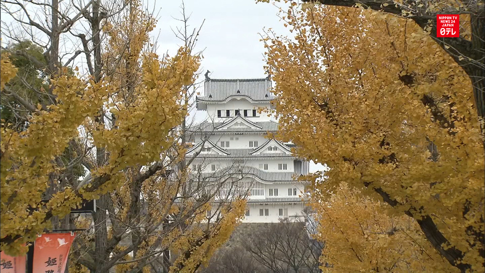 Himeji castle gets record annual visitors