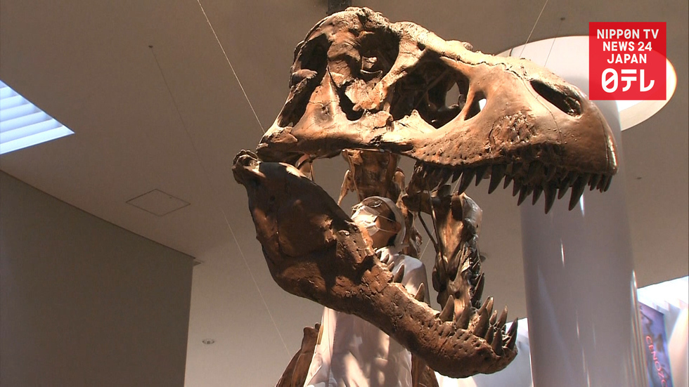 Year-end cleanings in Japan