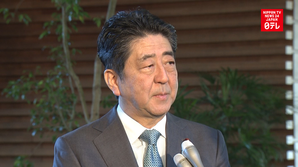 Abe hopes to initiate constitutional amendment in 2019
