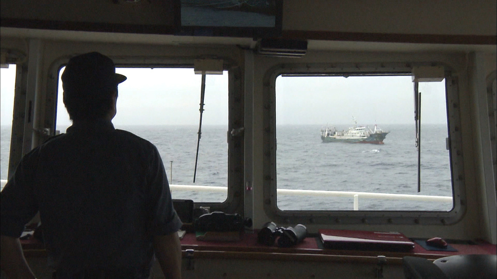 Chinese demand for mackerel hurting Japanese catch