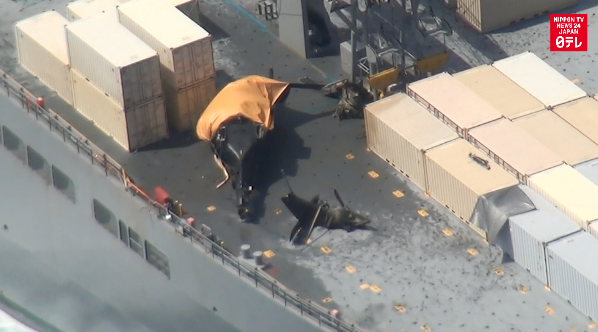 Okinawa lawmakers protest US helicopter crash