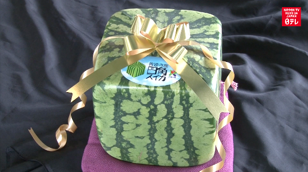 Cube-shaped watermelons ship to customers 