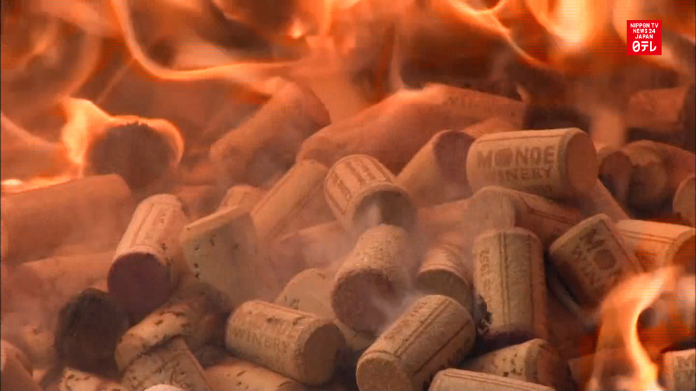 Vintners burn wine corks in ritual