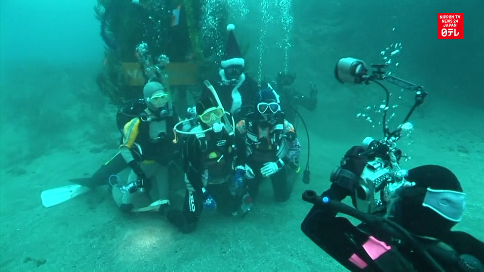 Diving into Christmas early