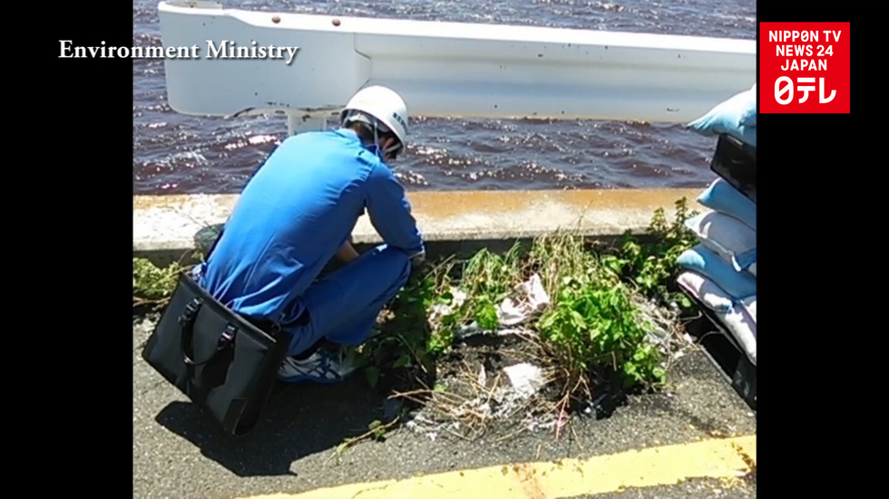 Ministry steps up fire ant measures