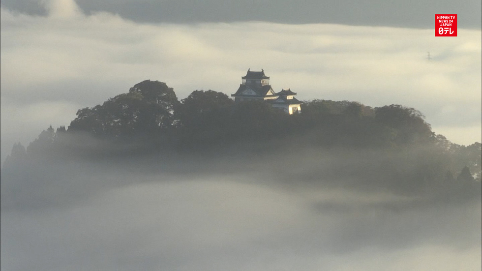 Castle in the sky wows visitors