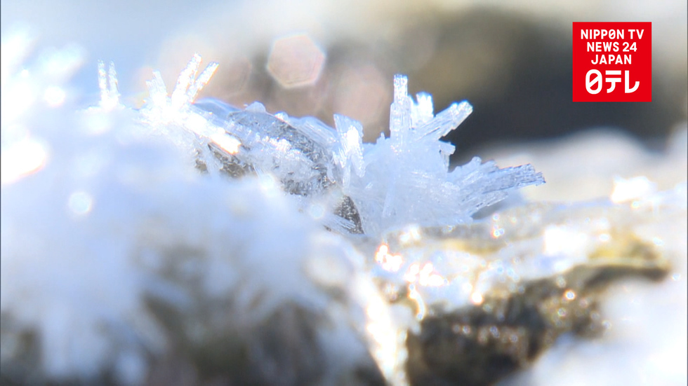 Cold snap freezes parts of Japan