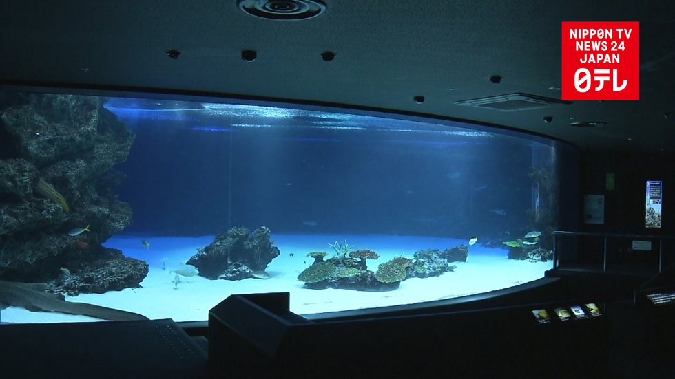 Massive fish die-off shocks and disappoints