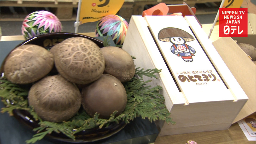 Premium shiitake mushrooms fetch $1,800