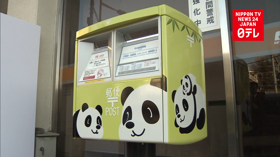 Panda-monium goes postal