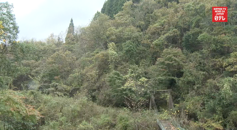 Man arrested for leaving disabled sister to die