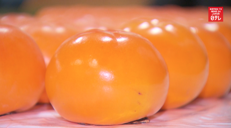 Luxury persimmons packed for Imperial Family