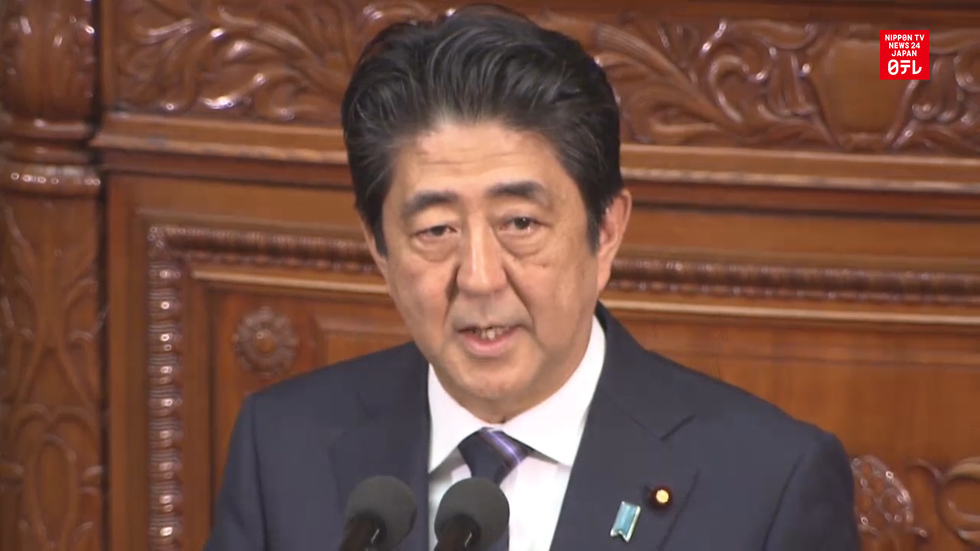 Abe stresses economy and Constitutional revision