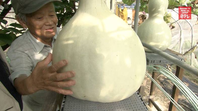 Gourd growers strive for greatness