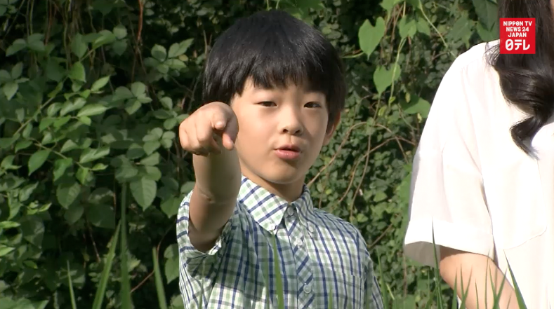 Prince Hisahito celebrates 10th birthday