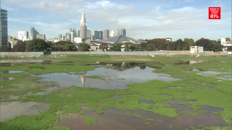 Olympic stadium: ready, set, build