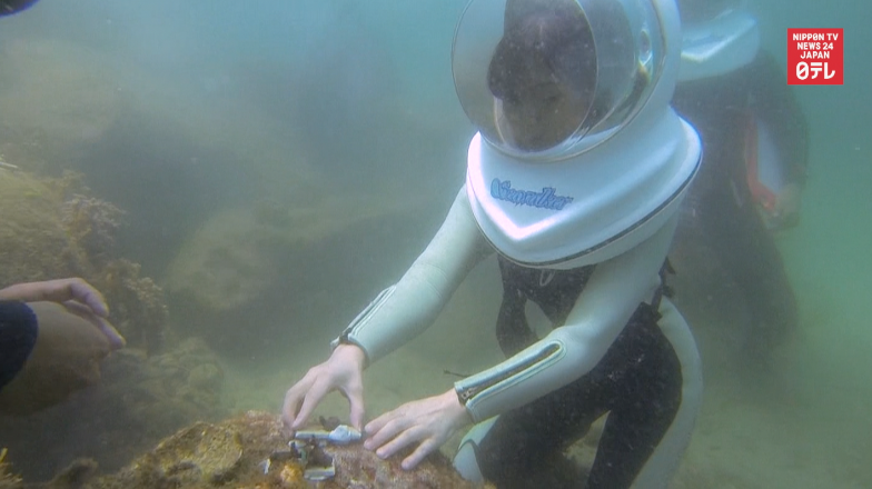 Ecotourists saving coral in western Japan 