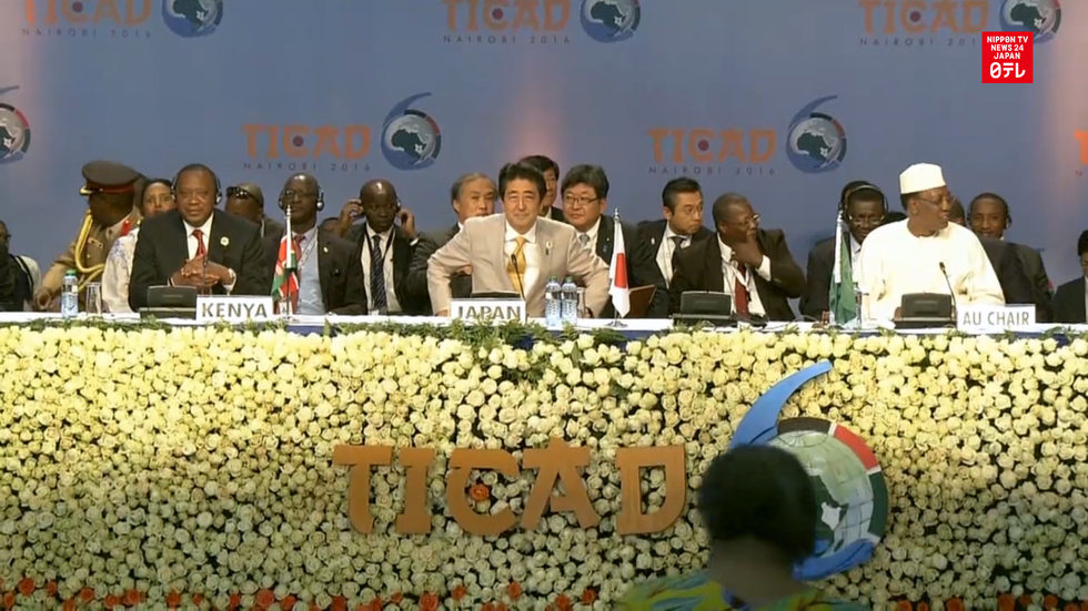 Japan-Africa confab ends with declaration