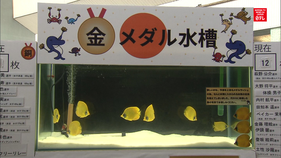 Gold medal rush puts aquarium in pinch