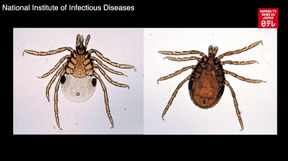 First tick-borne encephalitis death in Japan