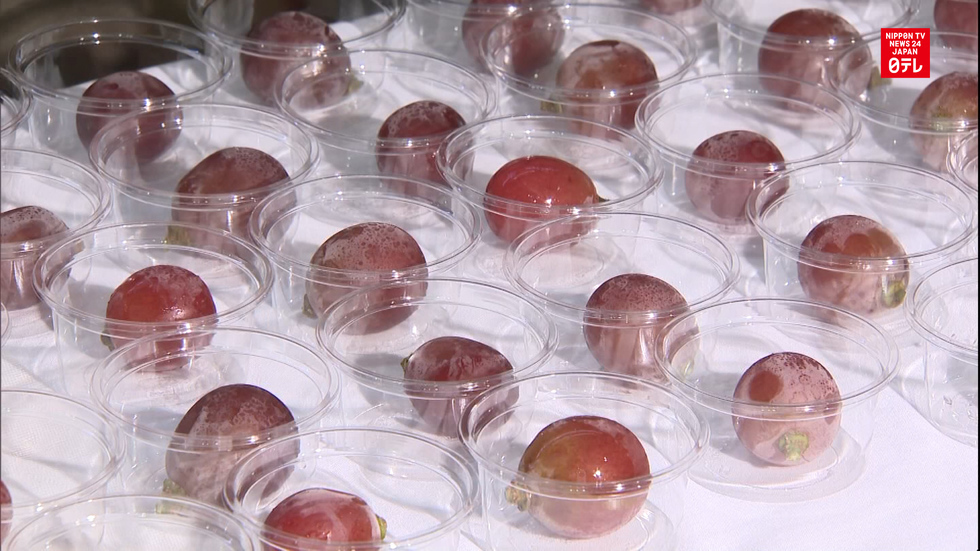 A taste of extravagance