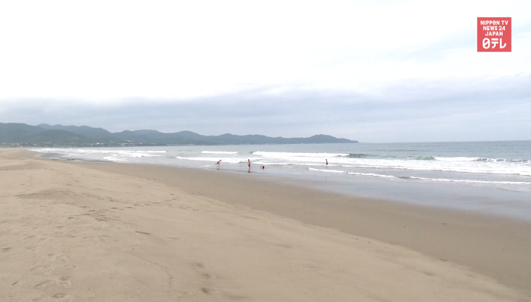 Shark attacks surfer in Kochi