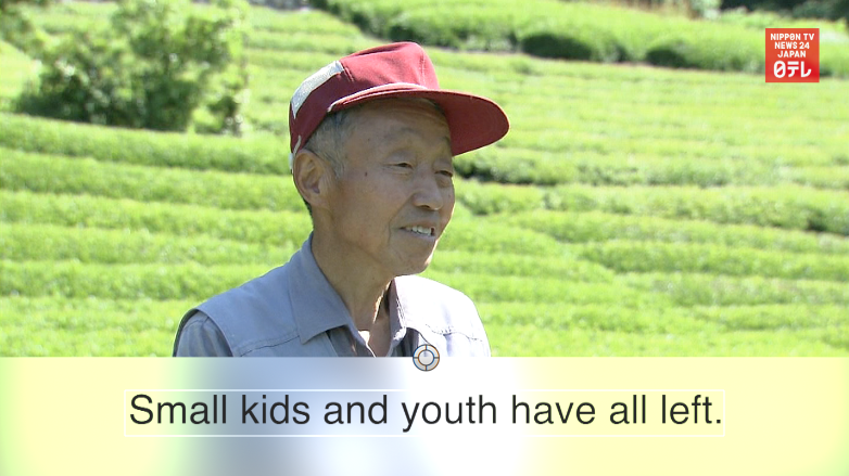 'Tea field in the sky' seeks heirs 