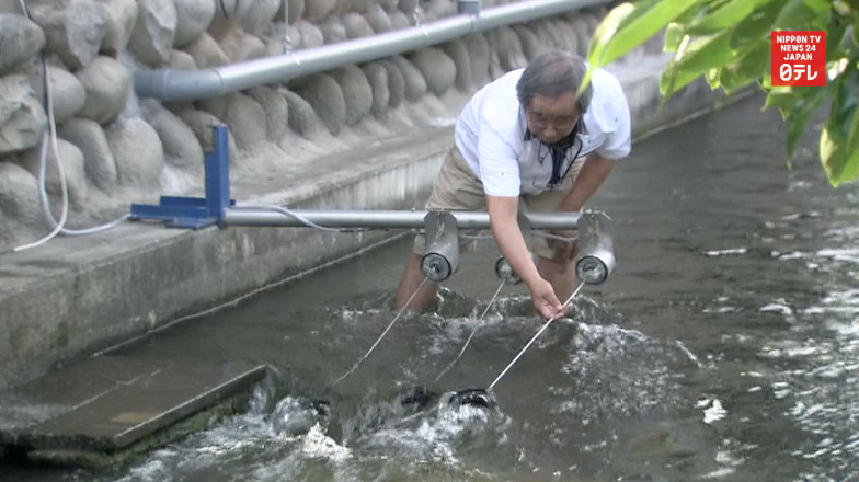 Japan's 'smallest power station' lights the night