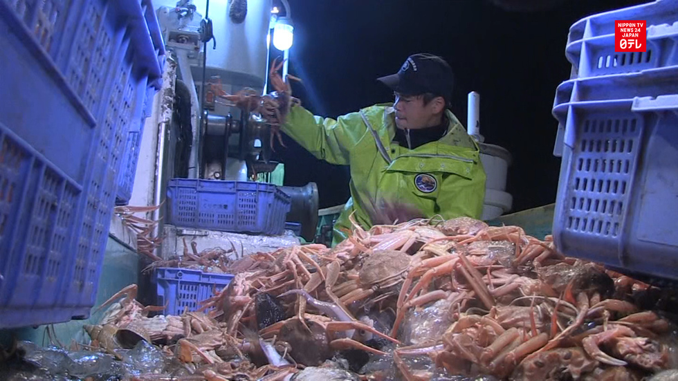 Snow crab season kicks off