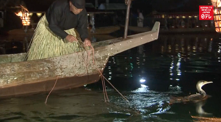 Cormorant fishing season underway in Iwakuni
