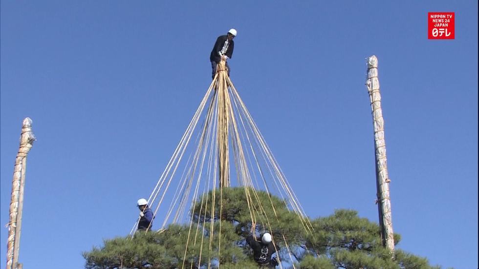 Famous Japanese garden girds for winter