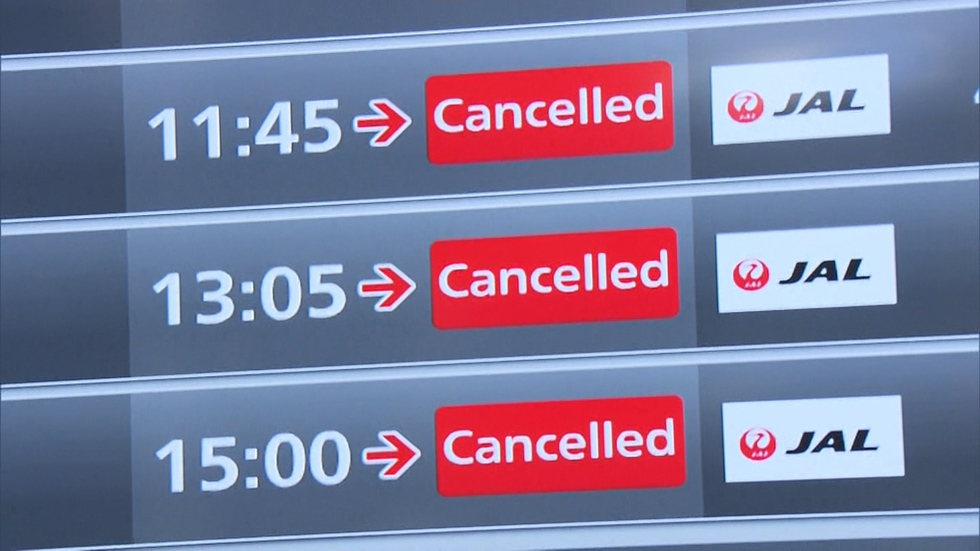 Computer glitch grounds JAL flights