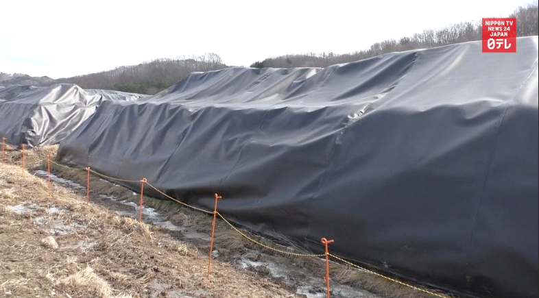 Decontamination to be extended to 'satoyama'