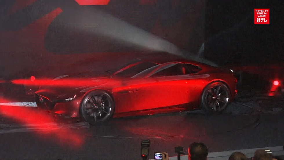 Reporters preview car show