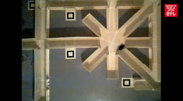 Mice learn from mistakes, experiment shows