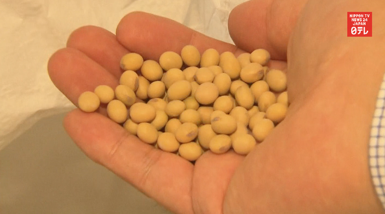 Govt warns against feeding kids nuts ahead of festival