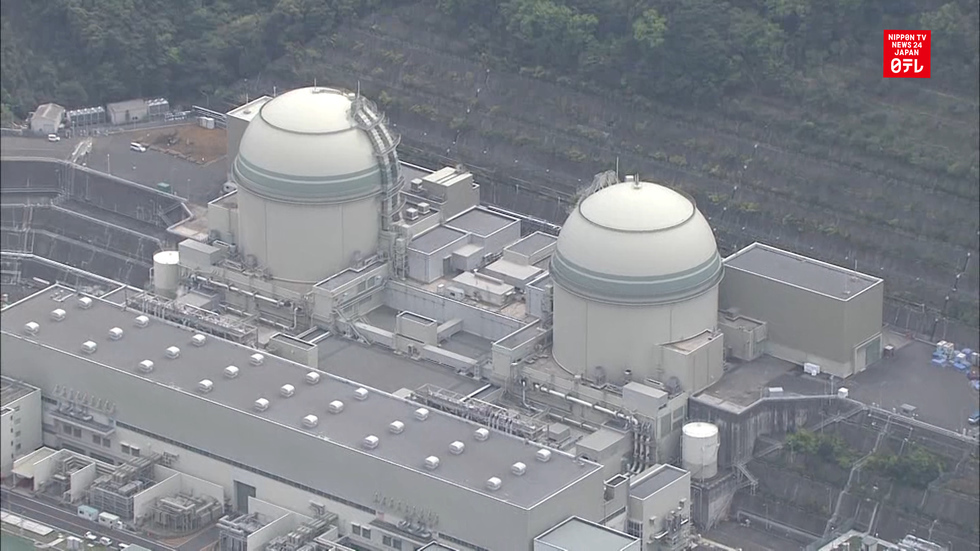 Second nuclear plant goes back online
