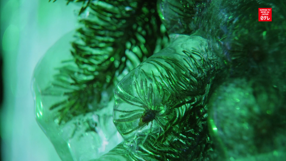 Ice sculptures sparkle in Hokkaido