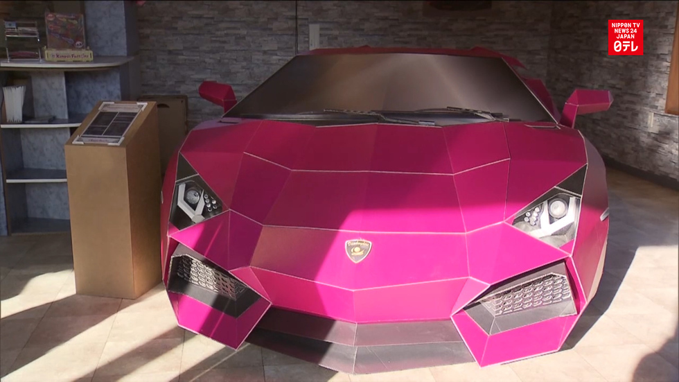 Cardboard Lamborghini attracts interest 
