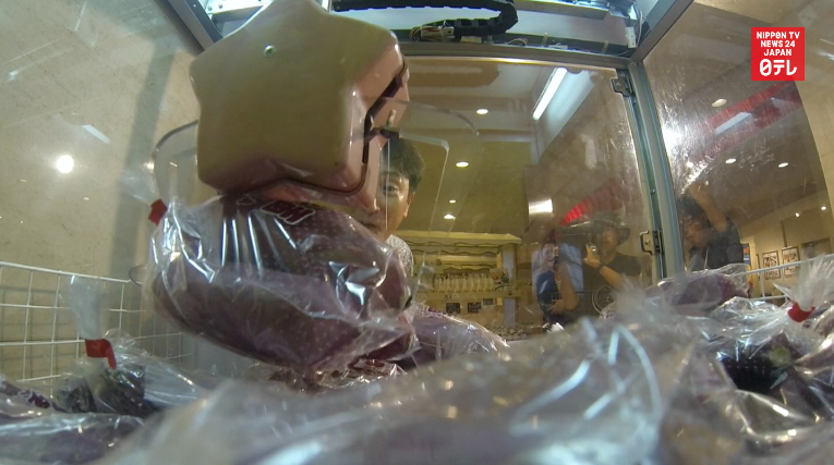 Gamers grab potatoes 