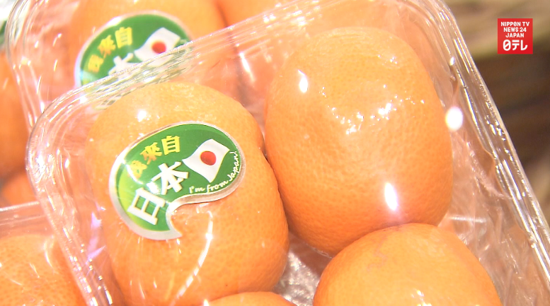 Japanese food exports hit new record